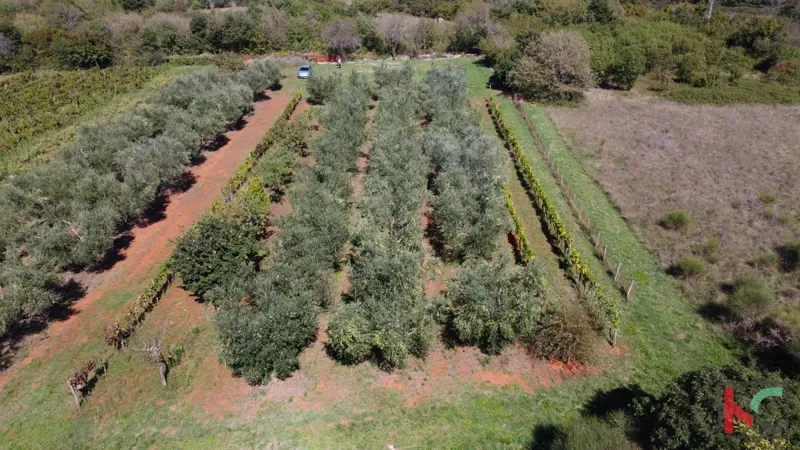 ISTRA, MARČANA, TERRENO 2507M2 COMBINATO EDIFICABILE CON PARTE NON URBANIZZATA, VENDITA – 2
