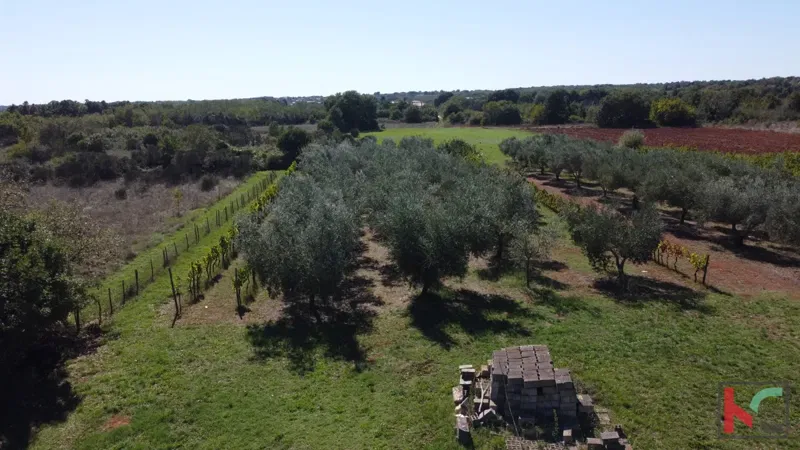 ISTRA, MARČANA, TERRENO 2507M2 COMBINATO EDIFICABILE CON PARTE NON URBANIZZATA, VENDITA – 3