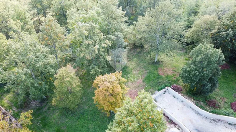 Parenzo – terreno 8.975 m² con parte edificabile – 3