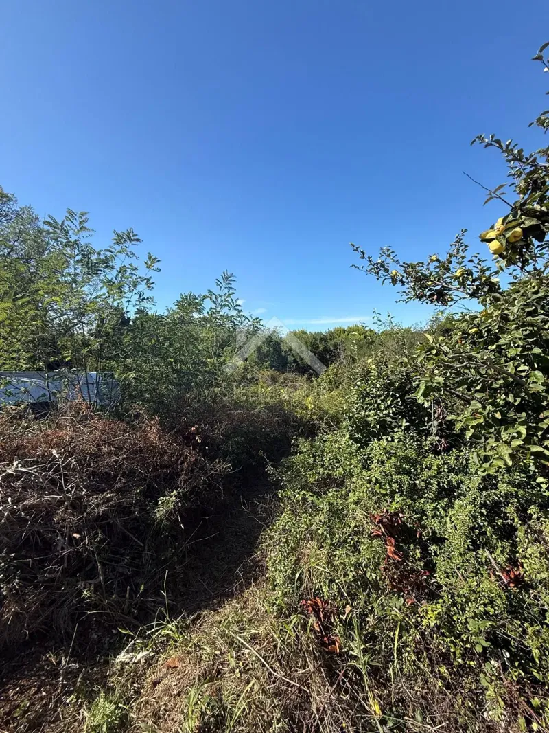 Land Vir, 432m2 – 3