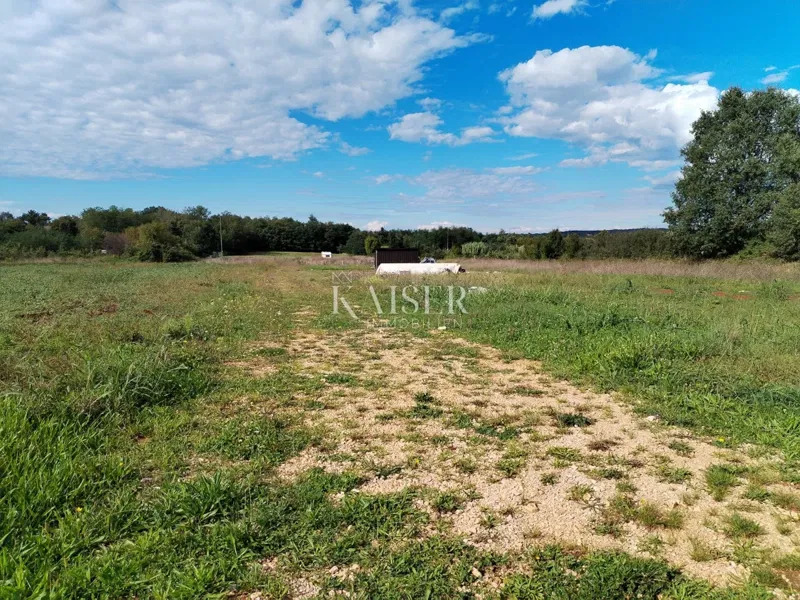 Istria, Umago, Čepljani, terreno agricolo in posizione tranquilla – 2