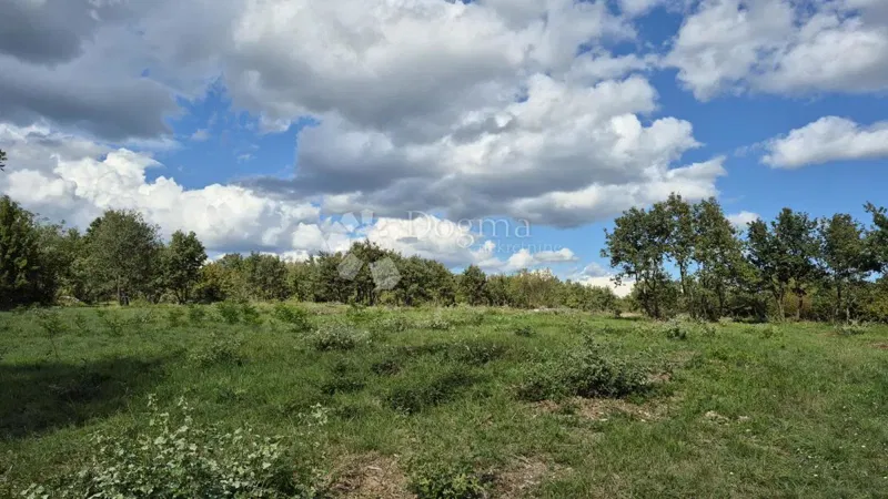 Agricultural land Vodnjan, 7.949m2 – 2