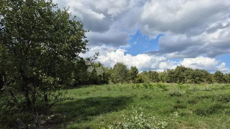 Agricultural land Vodnjan, 7.949m2 – 3