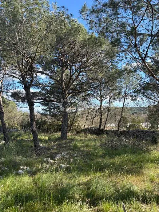 Building land Dubrava Kod Šibenika, Šibenik - Okolica, 4,40m2 – 3