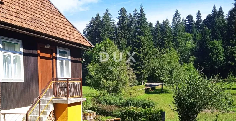 GORSKI KOTAR, DELNICE - project with 3 houses for tourism – 2