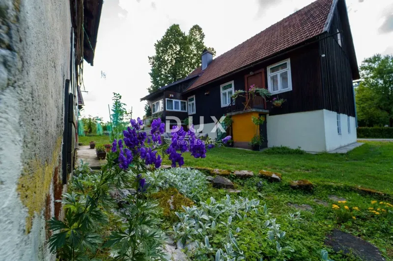 GORSKI KOTAR, DELNICE - project with 3 houses for tourism – 3