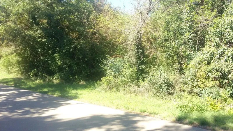 Non-structural plot Lovrečica, Umag, 5.749m2 – 3