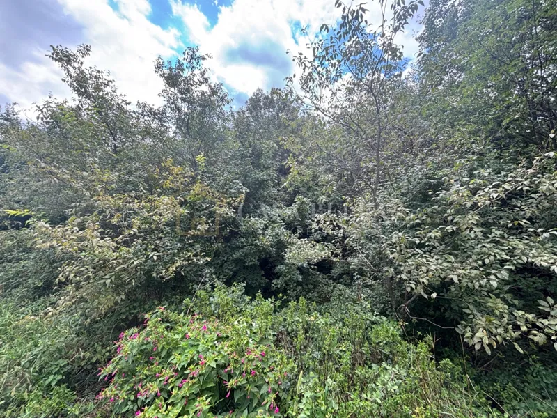 Crikvenica, Tribalj - građevinsko zemljište 302m2 – 3