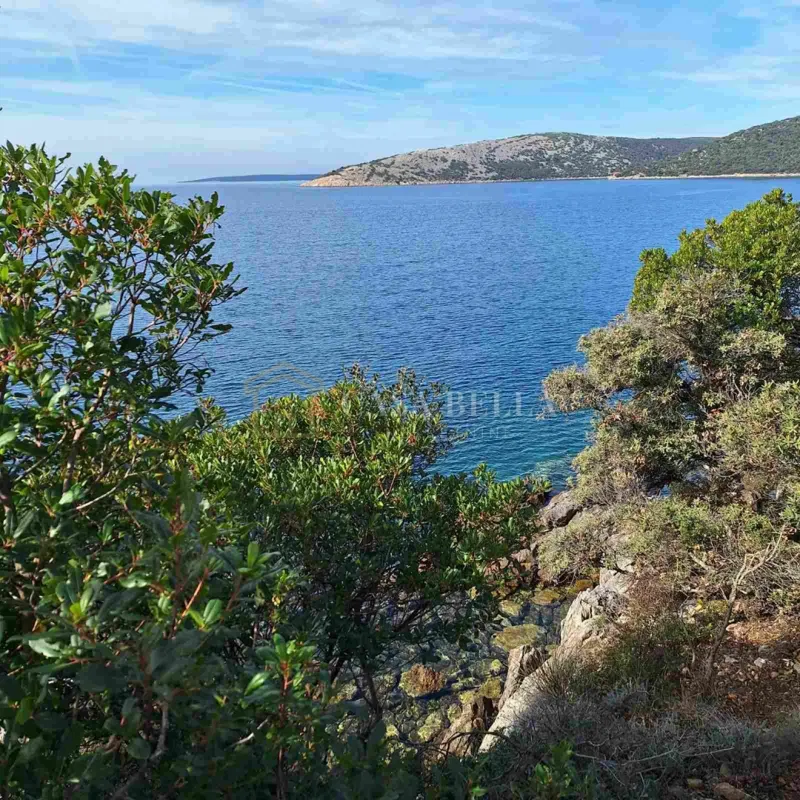 Ustrine, otok Lošinj, maslinik blizu mora! – 2