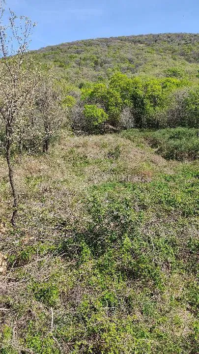 Krk, Punat - Poljoprivredno zemljište 424 m² na mirnoj lokaciji – 2