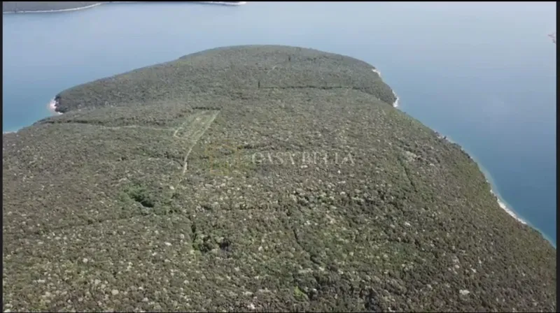 PULA, RAKALJ, 46000m2, PRVI RED DO MORA!!!! – 2