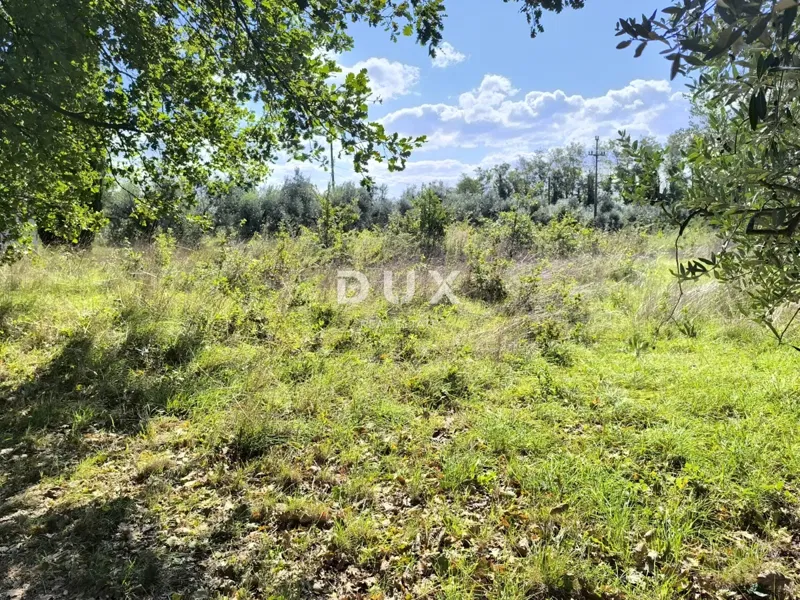 ISTRIA, PULA - Building land + olive grove 5800 m2 – 3