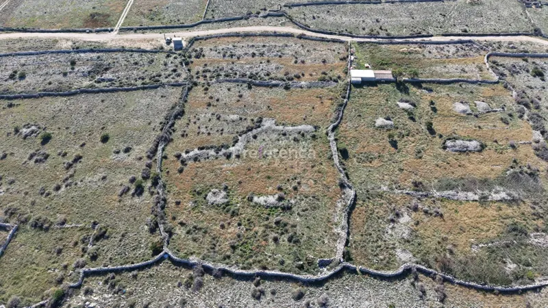 Povljana - agricultural land - SECOND ROW – 2