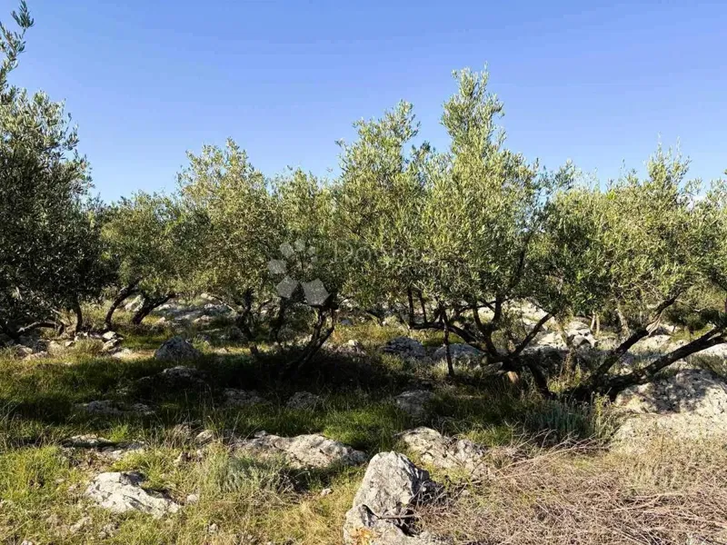 Ziemia rolna Grad Krk, Krk, 8.000m2 – 3