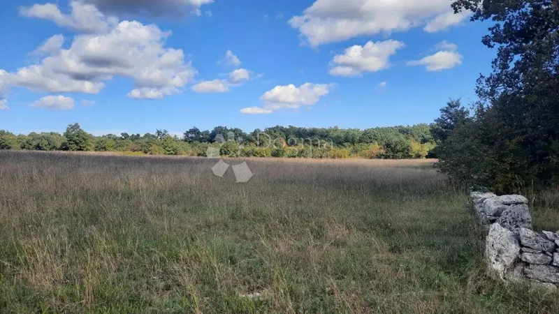 Agricultural land Štokovci, Svetvinčenat, 26.059m2 – 2