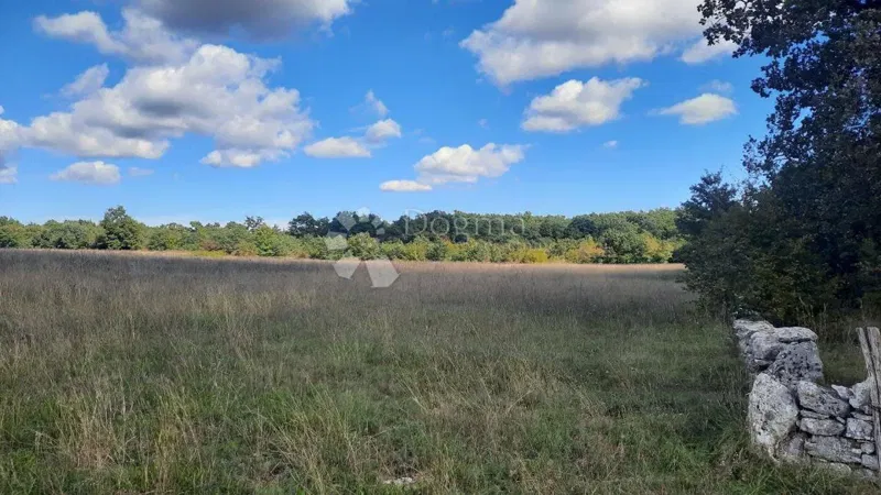 Agricultural land Štokovci, Svetvinčenat, 26.059m2 – 3