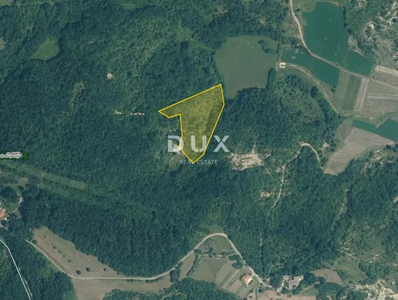 ISTRIA, GRAČIŠĆE - Agricultural land, 9.810m2