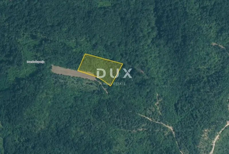 ISTRIA, GRAČIŠĆE - 8,200 m² of forest, regular shape, 6 minutes from Gračišće