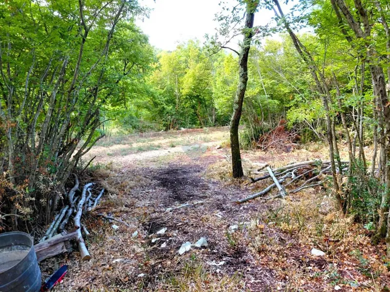Non-structural plot Rovinj, 2.600m2 – 2
