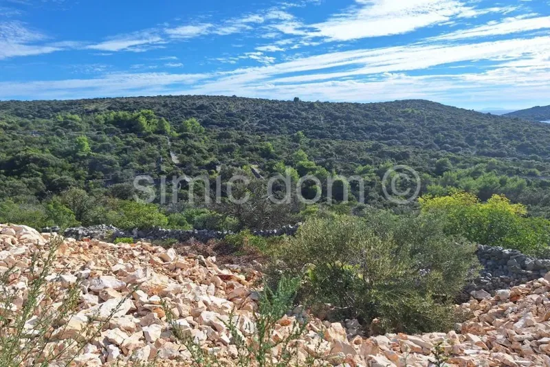 Terreno Sevid – 3