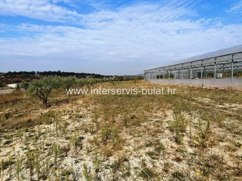 .::: Greenhouse near Šibenik :::. – 3