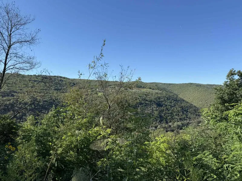 Building plot with a view of Motovun – 3
