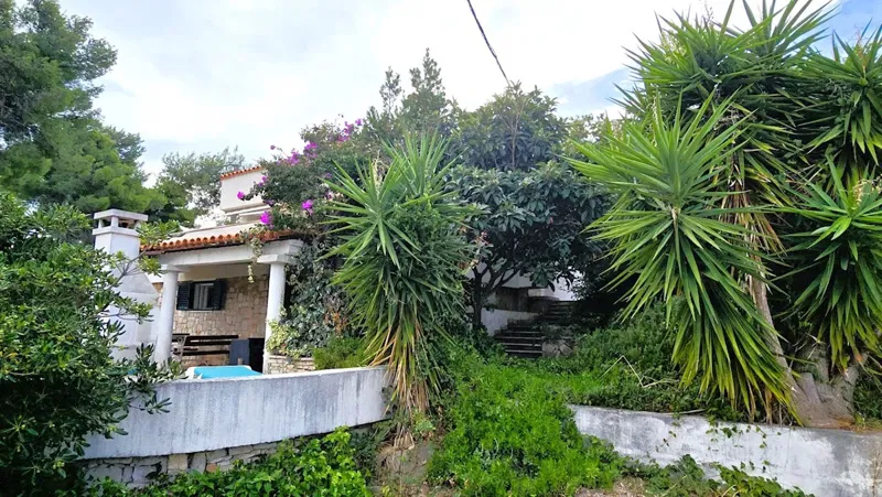 Šolta island - detached house 2nd row from the sea, on a 1,744 sqm plot – 3