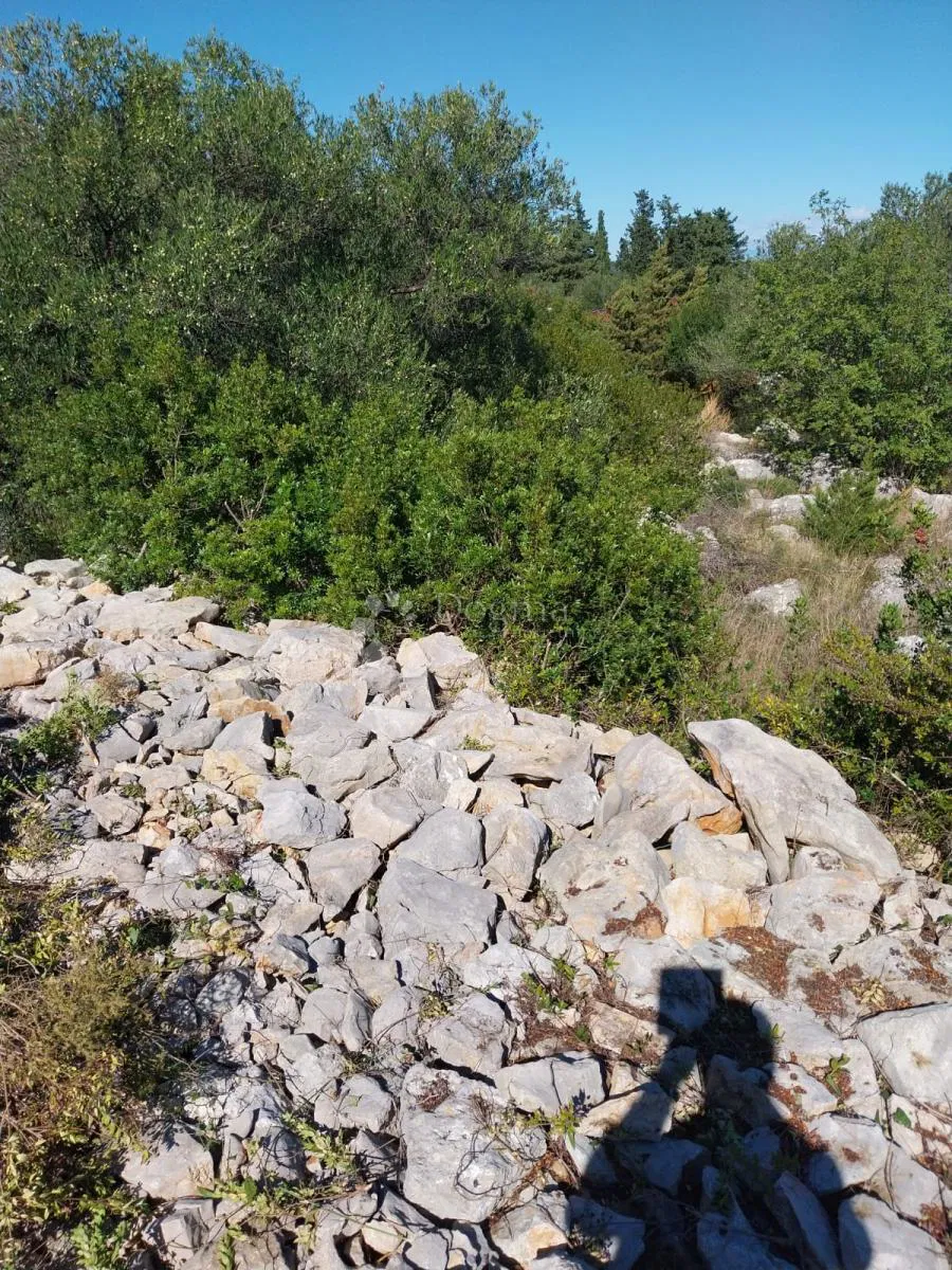 Építési telek Božava, Sali, 581m2