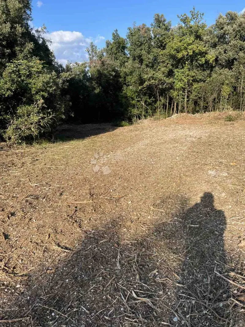 Terreno agricolo Peruški, Marčana, 2.000m2 – 2