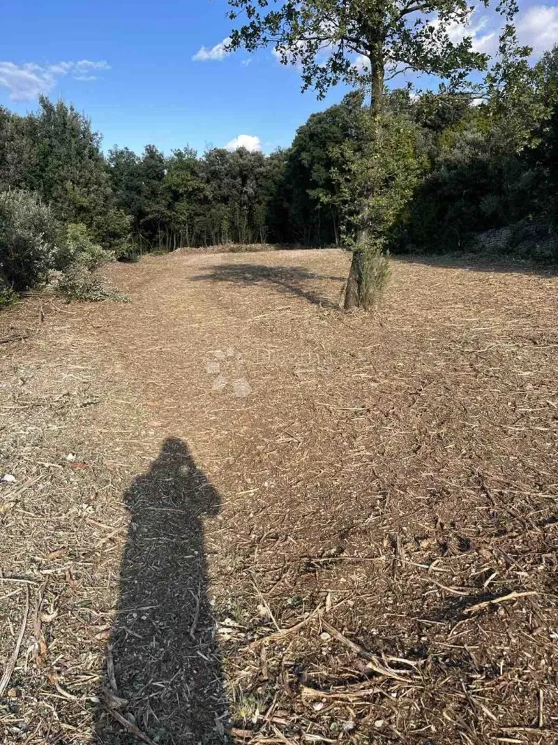 Terreno agricolo Peruški, Marčana, 2.000m2 – 3