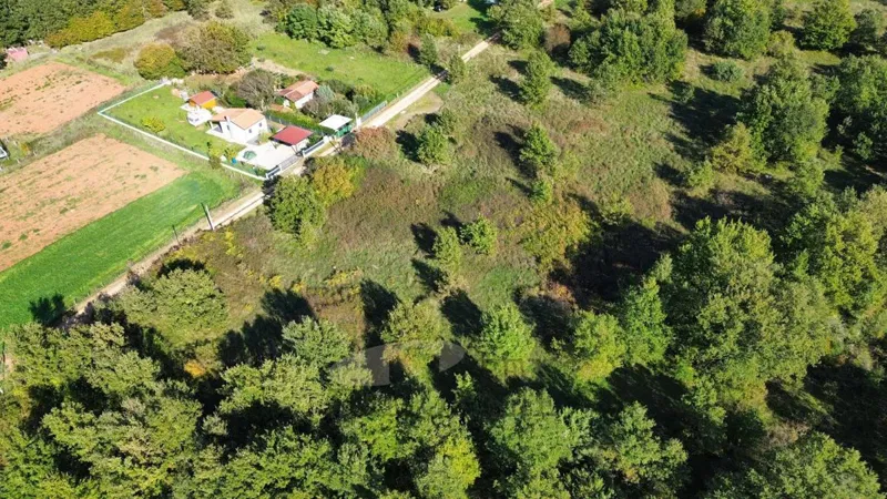 Farmland Žbandaj, Poreč, 5.930m2 – 2