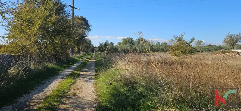 Land Vodnjan – 2