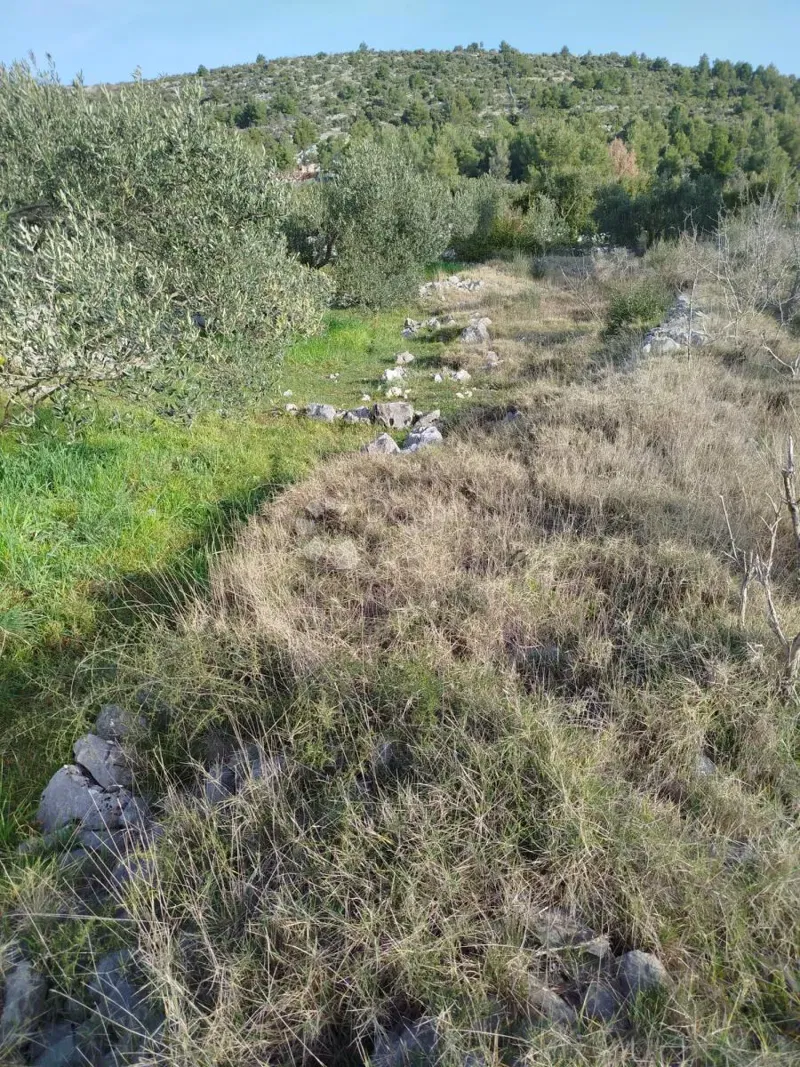Ziemia rolna Gustirna, Marina, 2.781m2 – 2