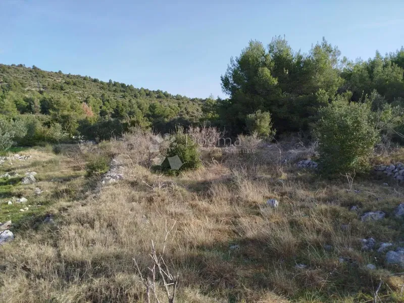 Ziemia rolna Gustirna, Marina, 2.781m2 – 3