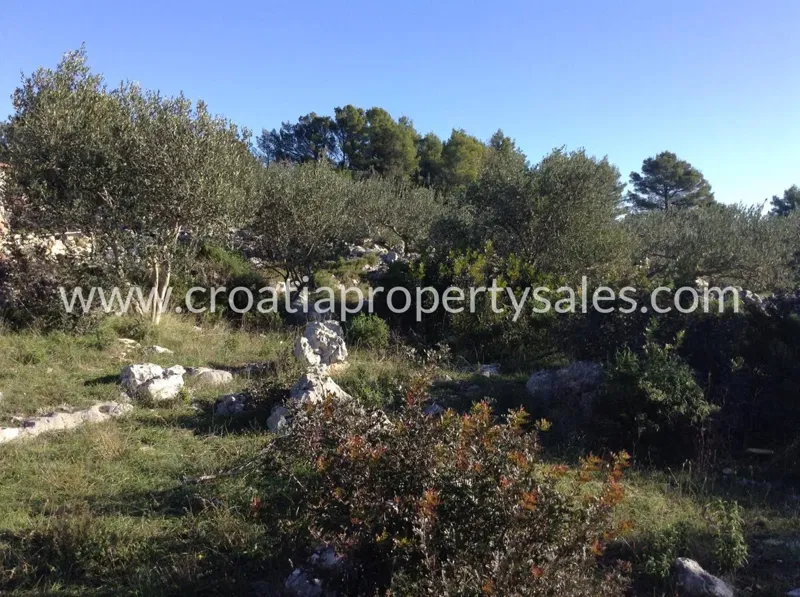 Hvar, agricultural land for sale, 40.000 € – 3