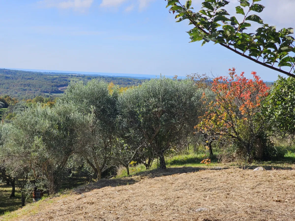 Buje - Bauland mit Panoramablick