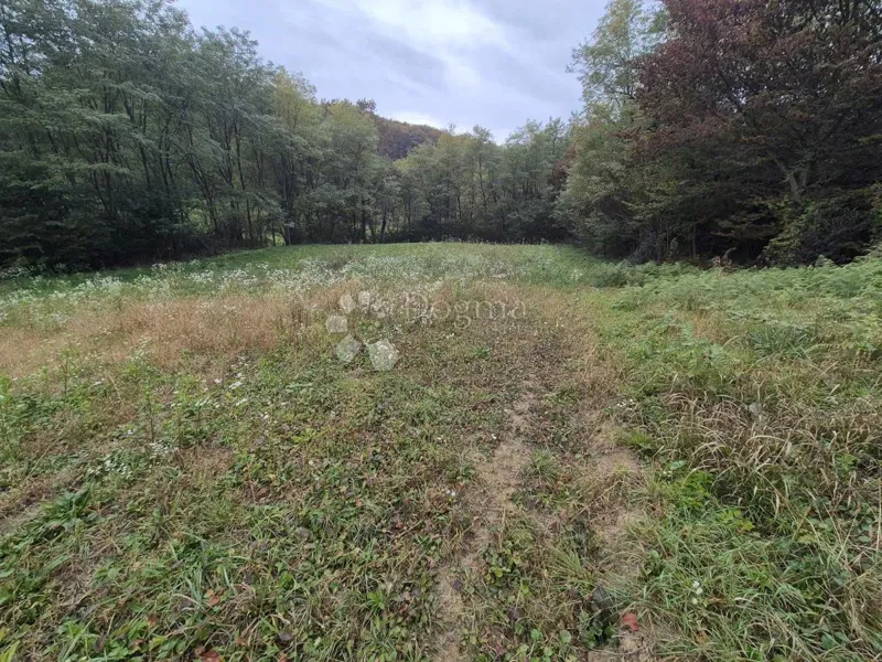 Mezőgazdasági terület Mala Gora, Pregrada, 1.169m2 – 3