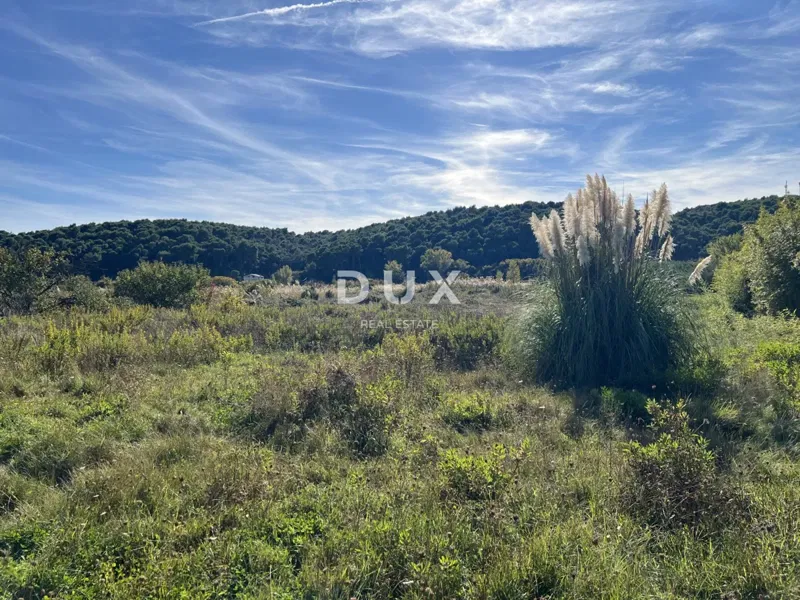 ISLAND OF RAB, KAMPOR – building land 500 m from the sea – 2