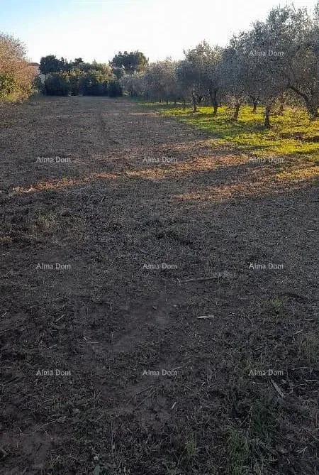 Premantura – construction land 1,793 m² – 2
