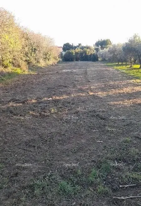 Premantura – construction land 1,793 m² – 3