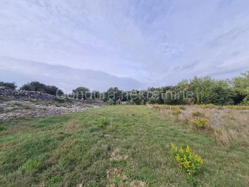 Agricultural land with olive trees – 2