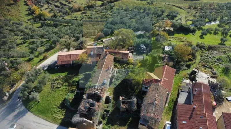 Dom Buje – 3