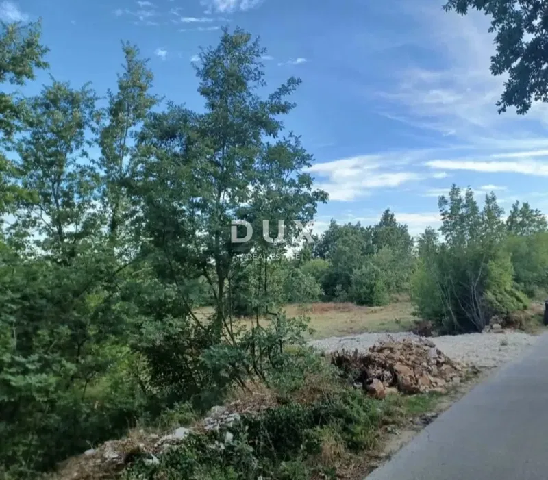 ISTRIA, SVETVINČENAT- Terreno agricolo! – 2