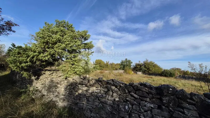 Pascolo recintato da muro a secco, superficie 1705 m2 – 2