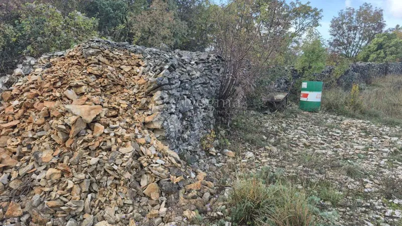 Pascolo recintato da muro a secco, superficie 1705 m2 – 3