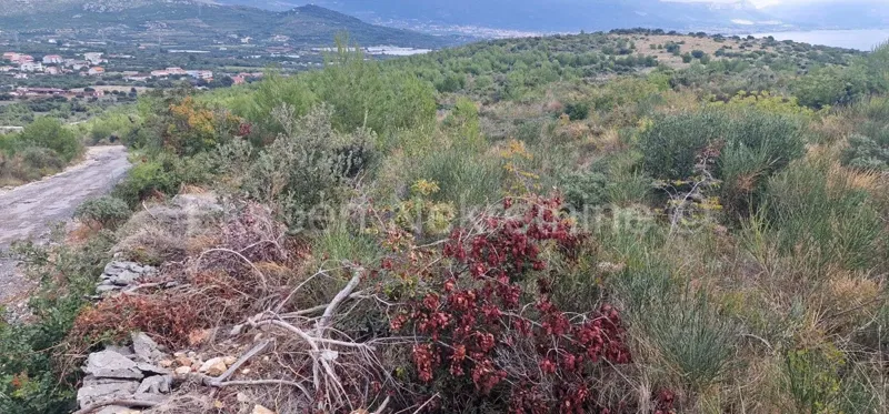 Trogir, Plano, agricultural land 3296 m2, sea view, road – 3