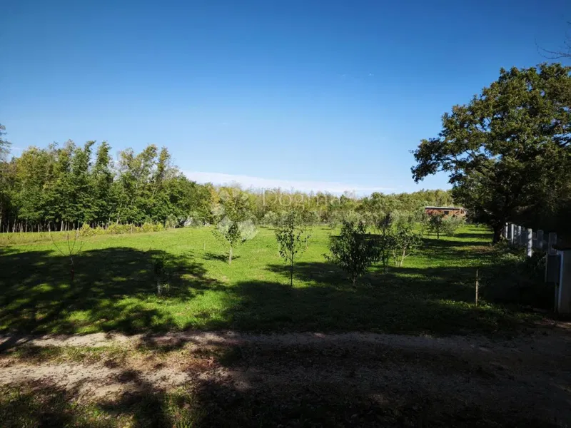 Brtonigla, atrakcyjny teren rolniczy – 3