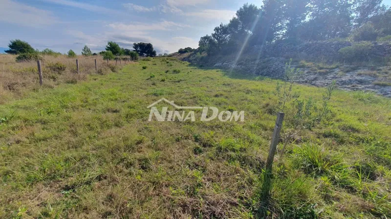 Agricultural land, olive grove, well 99 meters deep, fenced. – 2