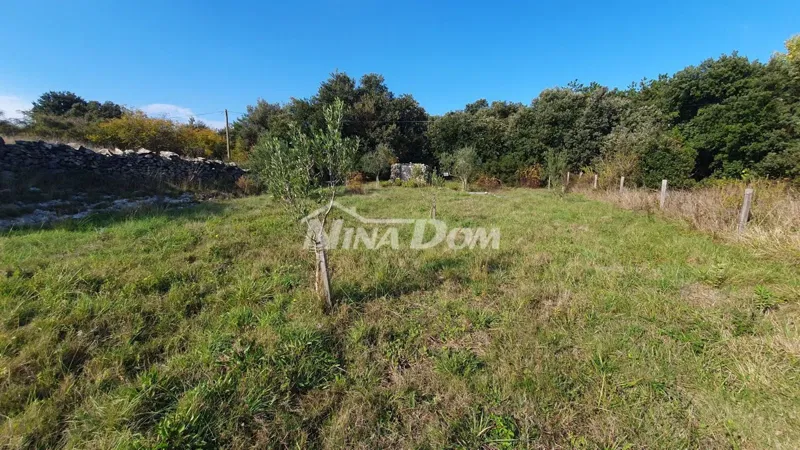 Agricultural land, olive grove, well 99 meters deep, fenced. – 3
