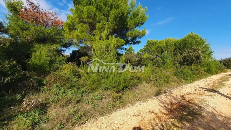 Terreno Vir – 2